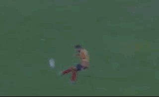 1614993255655029131.gif